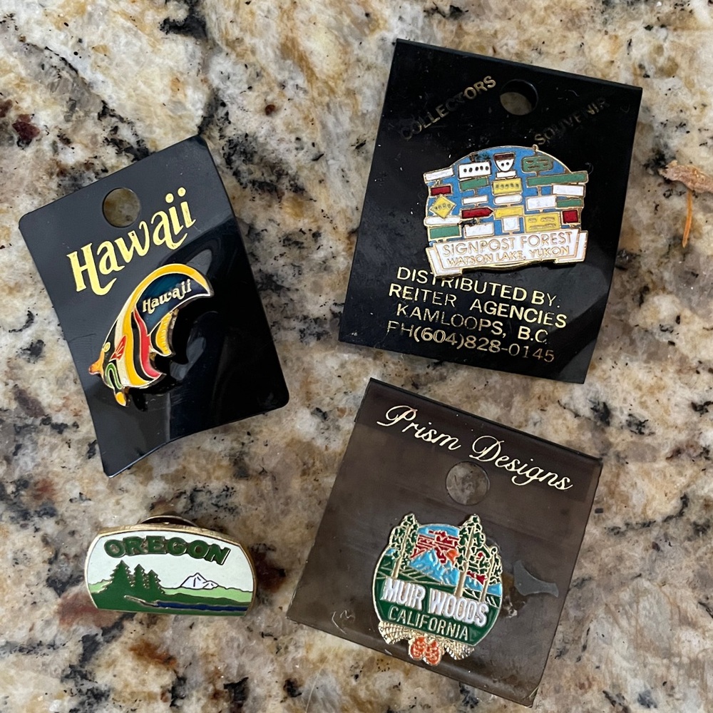 Bundle of 4‎ Travel Pins